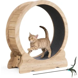 Indoor Cat Exercise Wheel