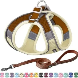 Adjustable harness & leash set for dogs