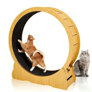 43.3" Cat Exercise Wheel